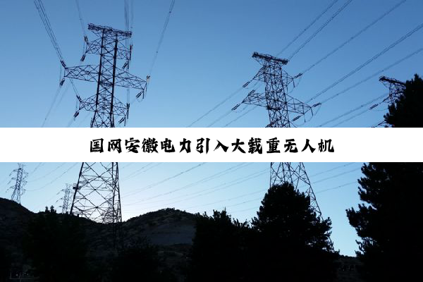 国网安徽电力引入大载重无人机