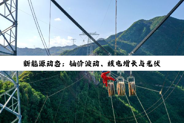 新能源动态：铀价波动、核电增长与光伏电站的多维洞察