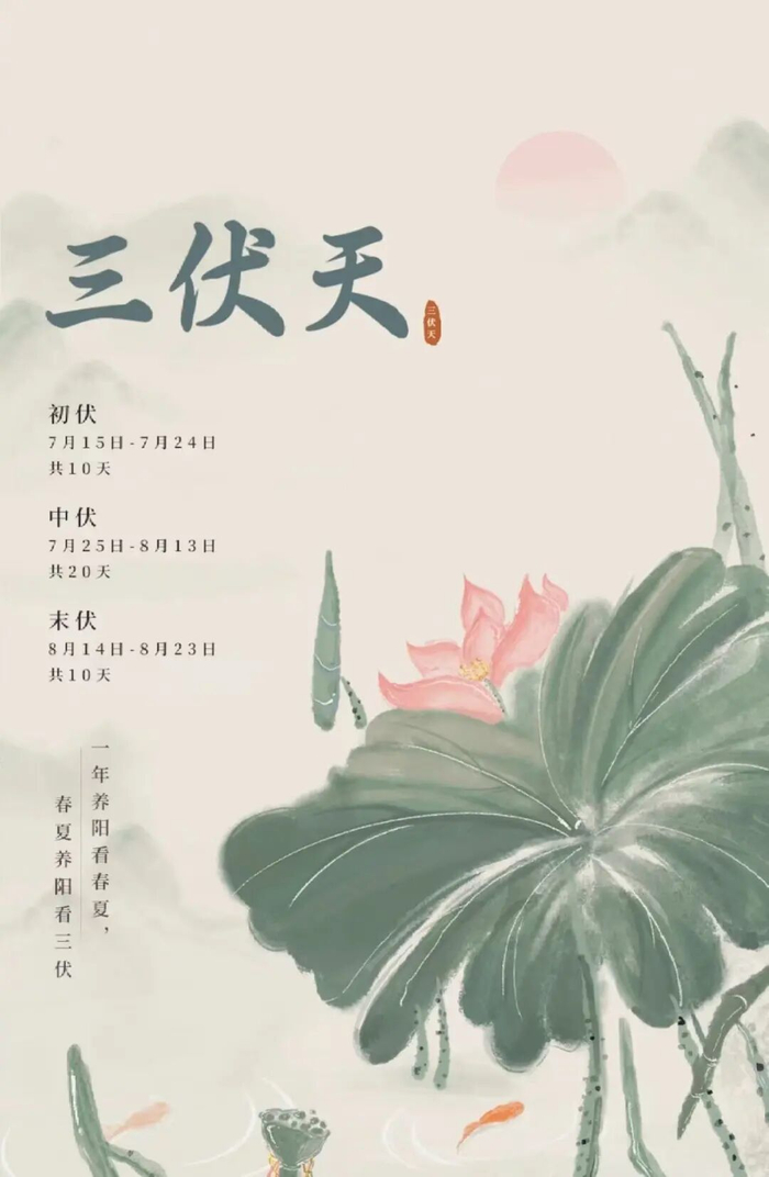 酷暑三伏天，光伏践使命，致敬新疆每一位新能源建设者