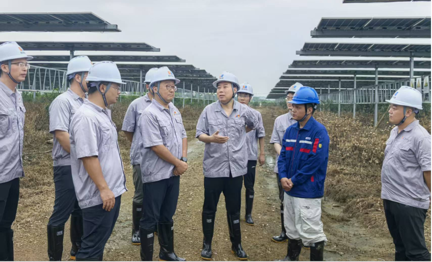 喜报：广西桂平光伏电站实现灾后首批复产发电！